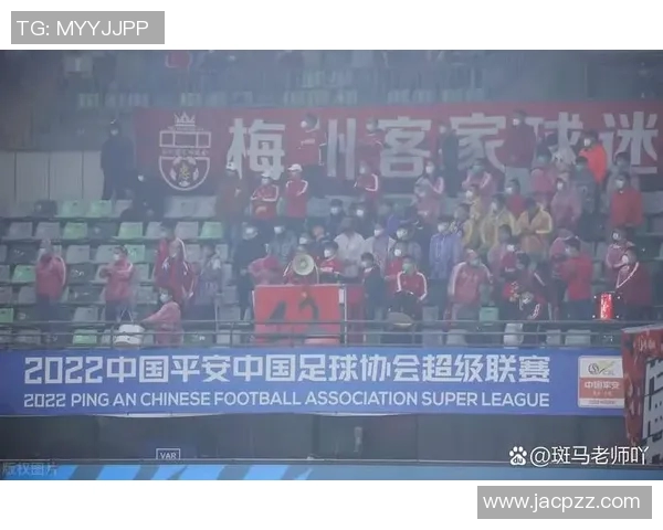 中国足球甲级联赛购票指南及注意事项全解析助你轻松观赛